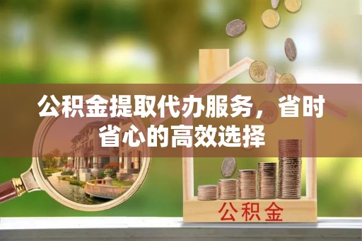 惠州公积金提取代办服务，省时省心的高效选择