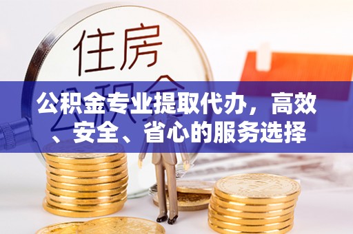 惠州公积金专业提取代办，高效、安全、省心的服务选择