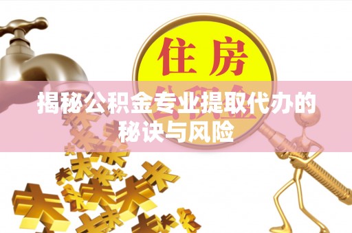 惠州揭秘公积金专业提取代办的秘诀与风险