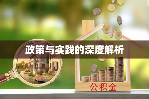 惠州政策与实践的深度解析