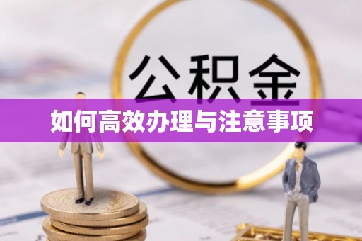 惠州如何高效办理与注意事项