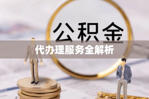 惠州代办理服务全解析