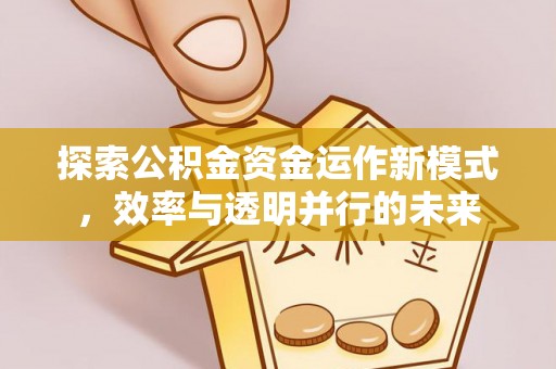 惠州探索公积金资金运作新模式，效率与透明并行的未来