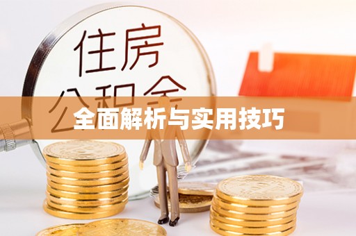 惠州全面解析与实用技巧