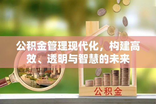 惠州公积金管理现代化，构建高效、透明与智慧的未来