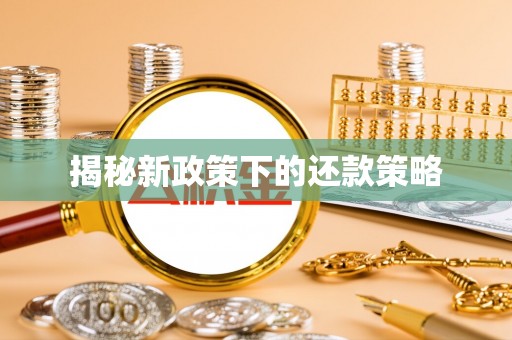 惠州揭秘新政策下的还款策略