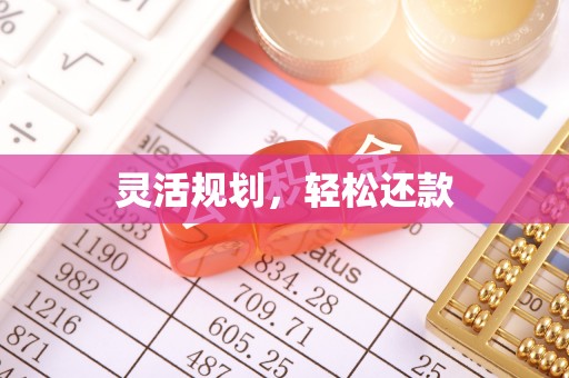 惠州灵活规划，轻松还款