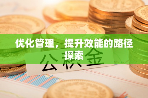 惠州优化管理，提升效能的路径探索