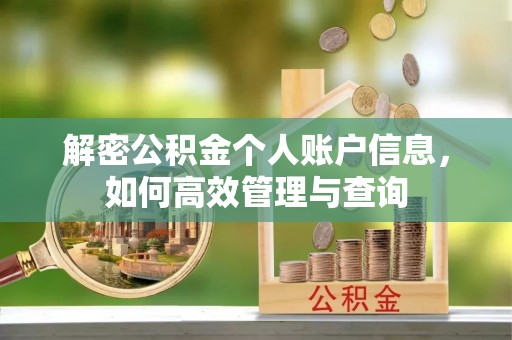 惠州解密公积金个人账户信息，如何高效管理与查询