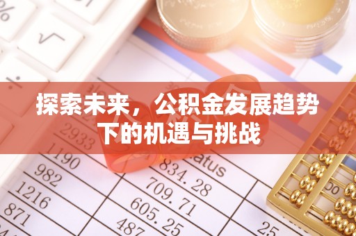 惠州探索未来，公积金发展趋势下的机遇与挑战