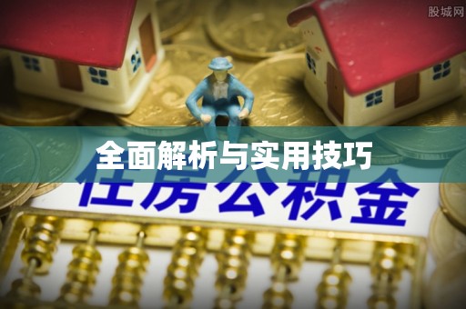 惠州全面解析与实用技巧