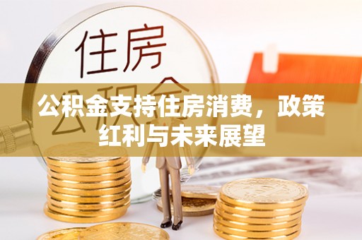 惠州公积金支持住房消费，政策红利与未来展望
