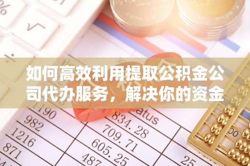 惠州如何高效利用提取公积金公司代办服务，解决你的资金难题