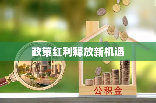 惠州政策红利释放新机遇