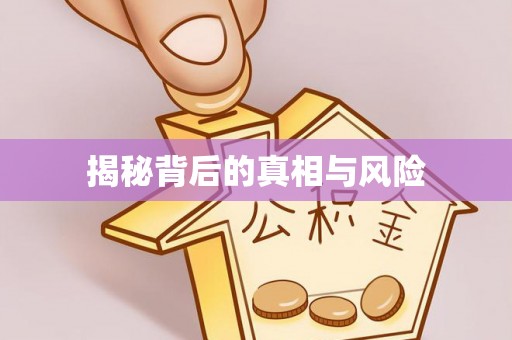 惠州揭秘背后的真相与风险
