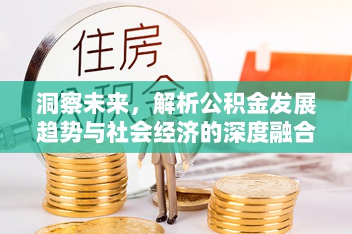 惠州洞察未来，解析公积金发展趋势与社会经济的深度融合