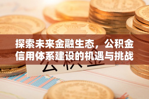 惠州探索未来金融生态，公积金信用体系建设的机遇与挑战