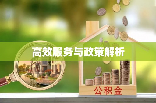 惠州高效服务与政策解析