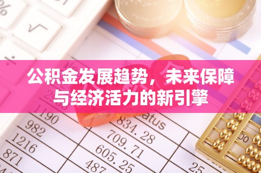 惠州公积金发展趋势，未来保障与经济活力的新引擎