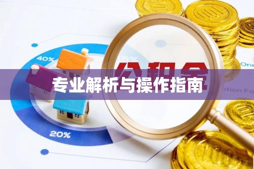 惠州专业解析与操作指南