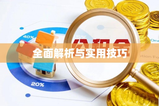 惠州全面解析与实用技巧