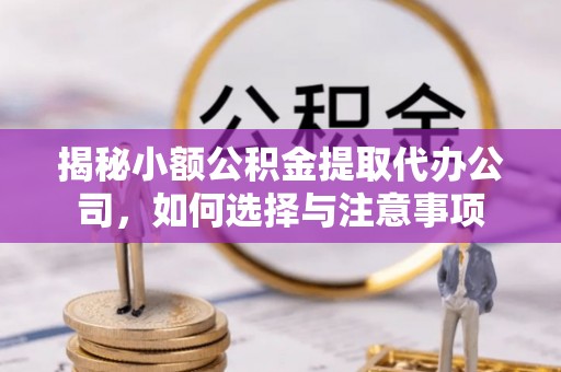 惠州揭秘小额公积金提取代办公司，如何选择与注意事项