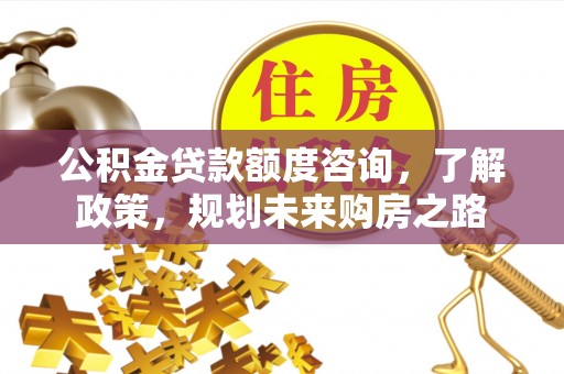 惠州公积金贷款额度咨询，了解政策，规划未来购房之路