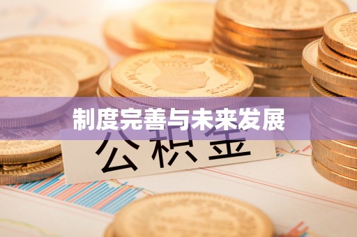 惠州制度完善与未来发展