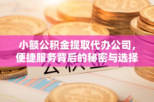 惠州小额公积金提取代办公司，便捷服务背后的秘密与选择指南