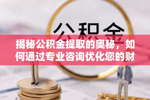 惠州揭秘公积金提取的奥秘，如何通过专业咨询优化您的财务规划