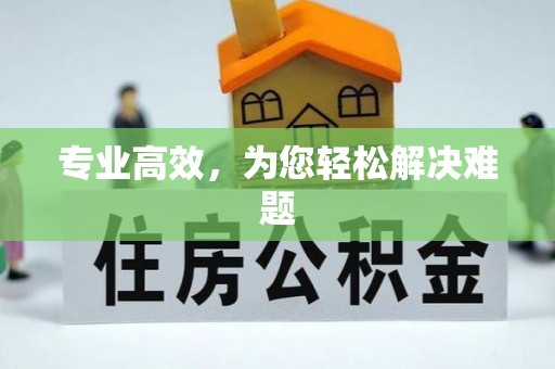 惠州专业高效，为您轻松解决难题