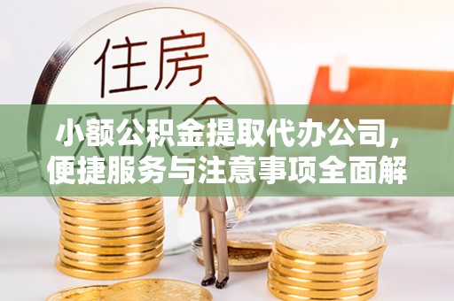 惠州小额公积金提取代办公司，便捷服务与注意事项全面解析