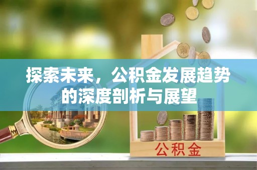 惠州探索未来，公积金发展趋势的深度剖析与展望