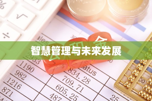惠州智慧管理与未来发展