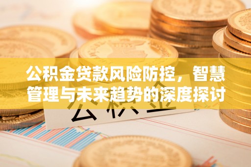 惠州公积金贷款风险防控，智慧管理与未来趋势的深度探讨