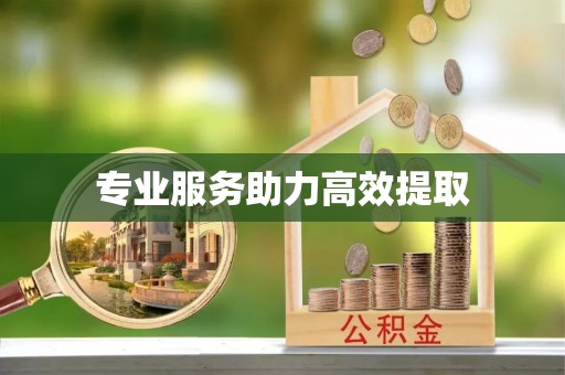惠州专业服务助力高效提取