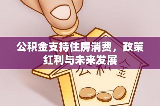 惠州公积金支持住房消费，政策红利与未来发展