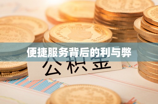 惠州便捷服务背后的利与弊