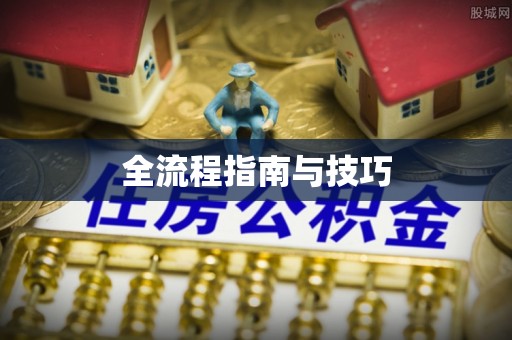 惠州全流程指南与技巧