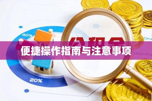 惠州便捷操作指南与注意事项