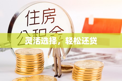 惠州灵活选择，轻松还贷