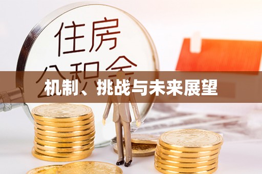 惠州机制、挑战与未来展望
